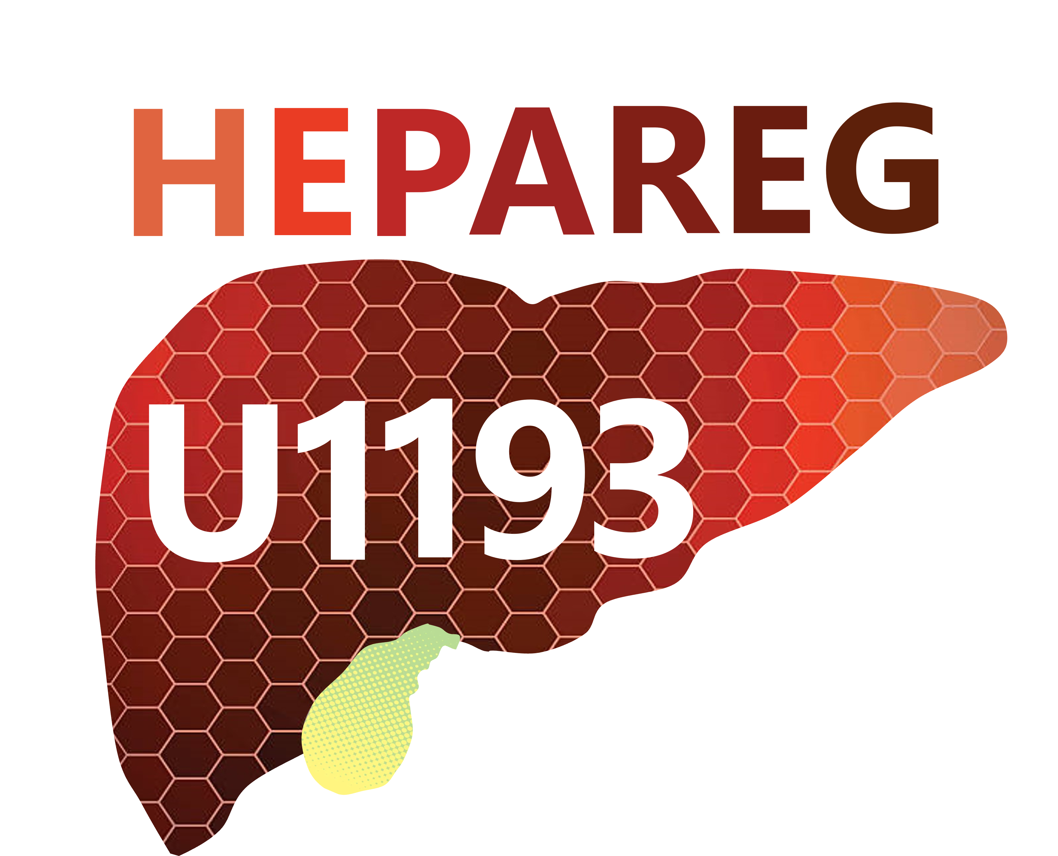 UMR-S 1193 HEPAREG